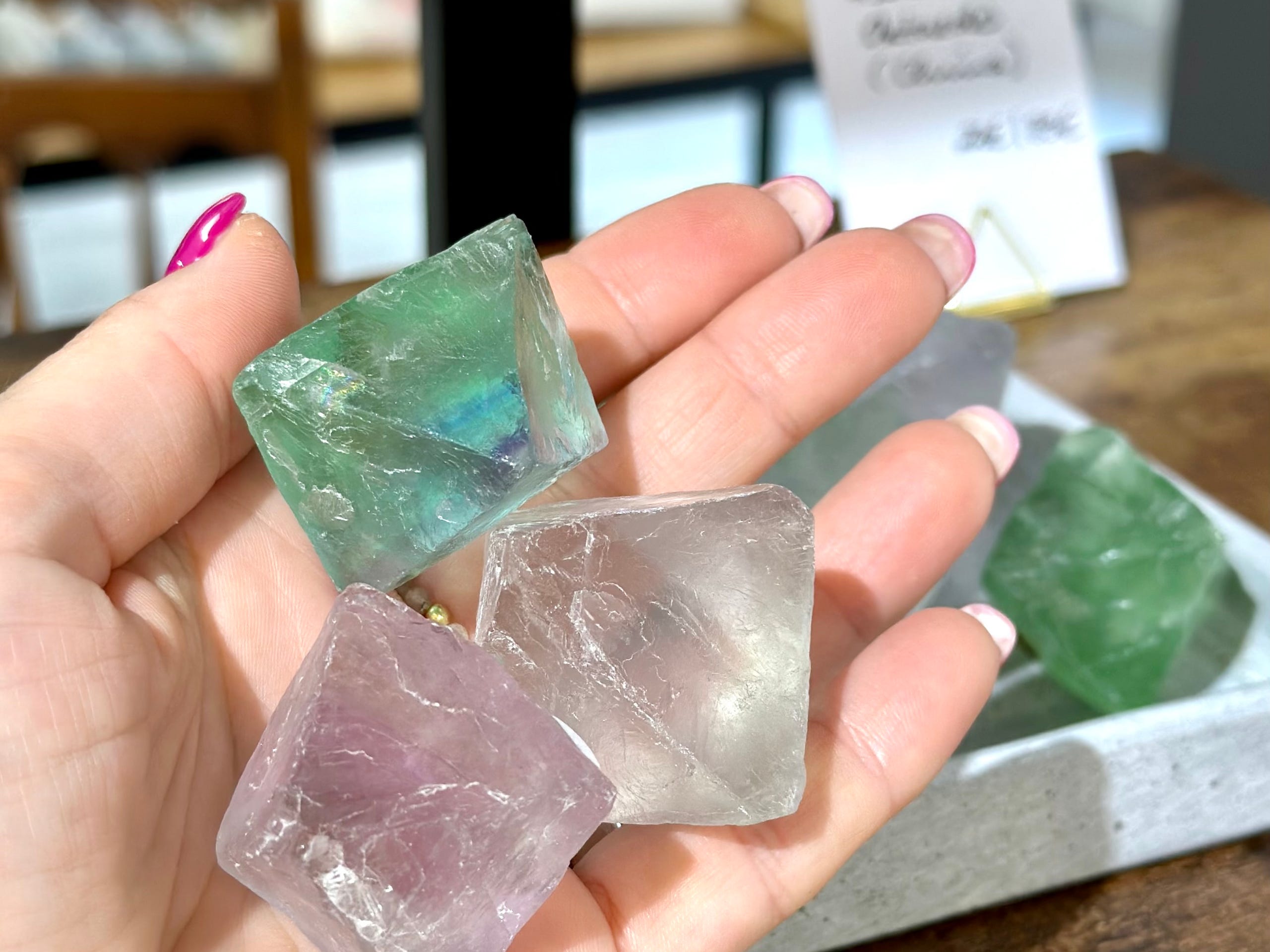 Fluorit-Oktaeder in grün und violett liegen in geöffneter Hand